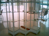 Aluminum Alloy Boutique Shelf 